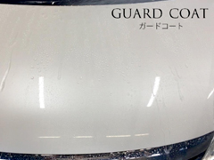 GUARD COAT